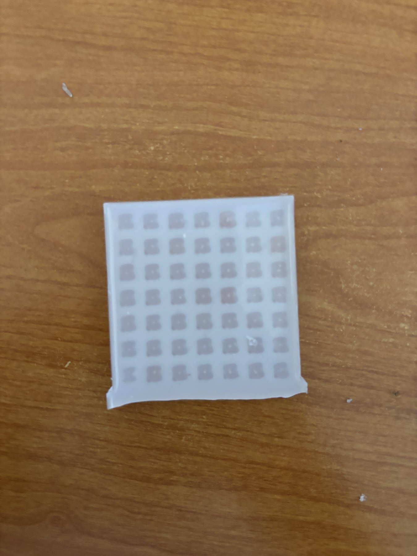 Printed hydrogel grid with repeated cells.