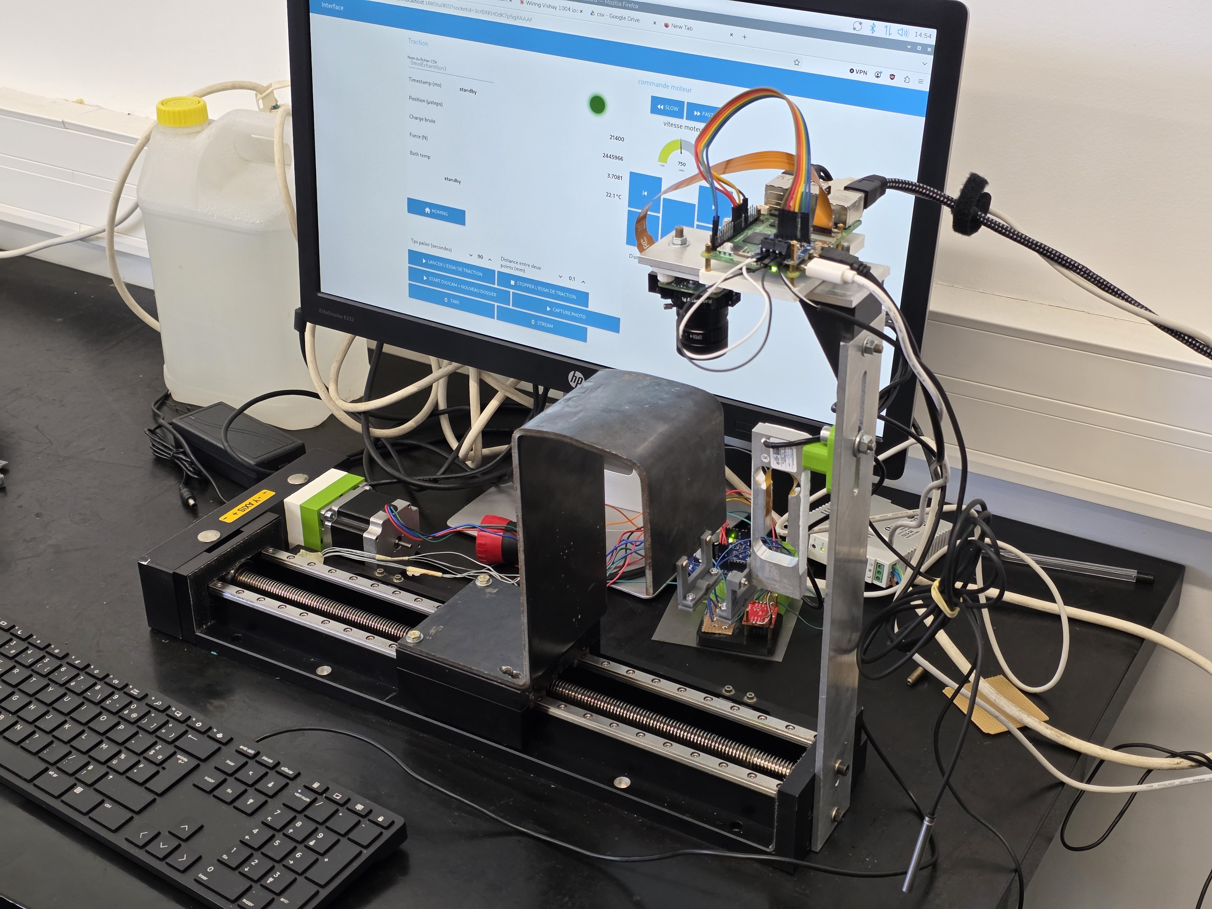 Potato-parenchyma traction bench used for mechanical characterization.