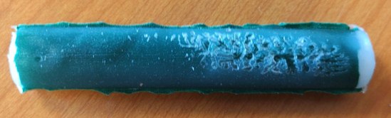 First successfully formed soft guard cell.